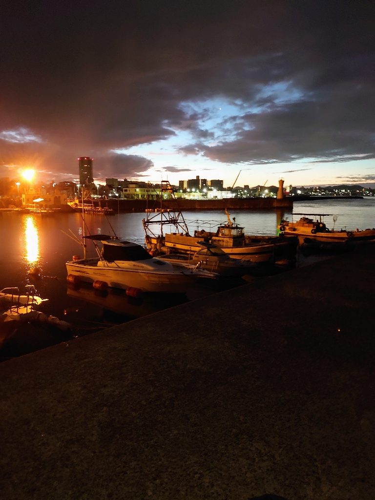 ショアジギング