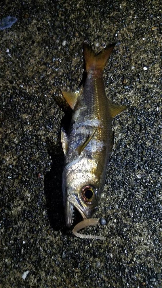 ムツムツムツ😊