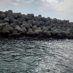 クロ釣り(畝刈)