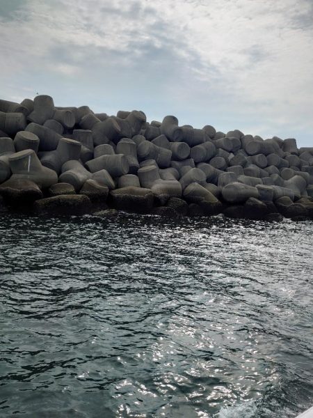 クロ釣り(畝刈)