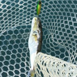 三重県レンタルボート