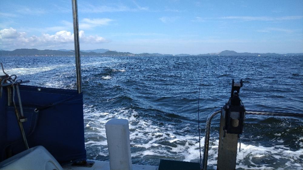 久々のタイラバでマダイ