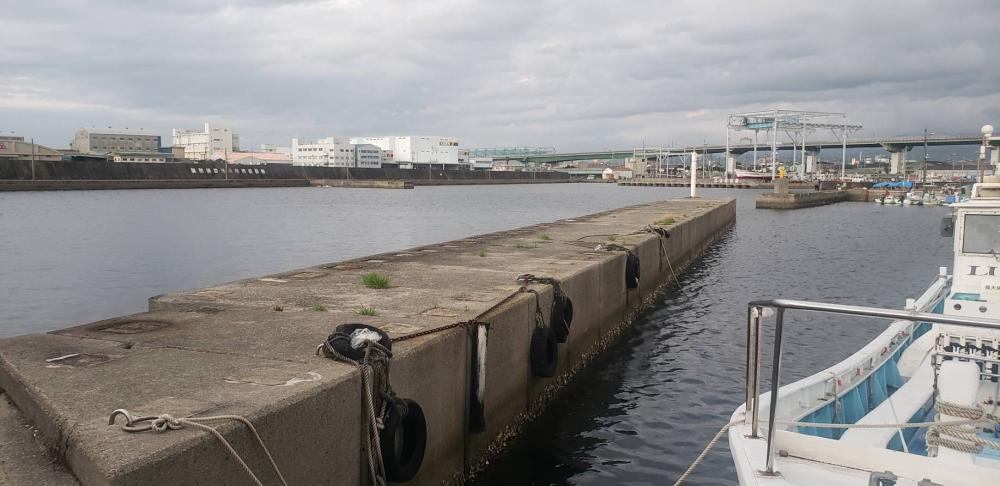 アジ探し@佐野漁港