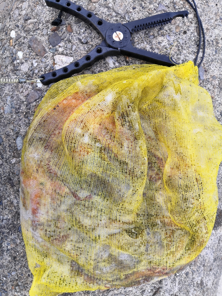 オクトパッシング 8