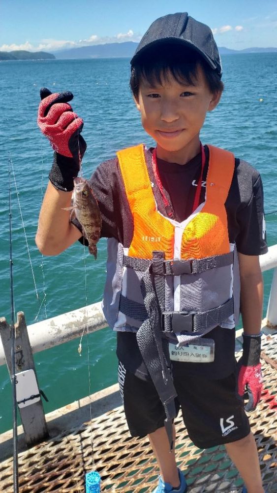 ハマチ釣れた‼️