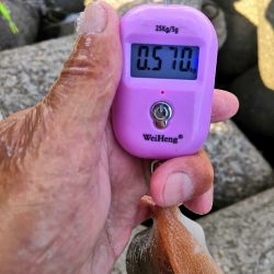 オクトパッシング 20