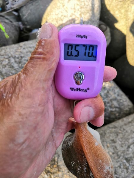 オクトパッシング 20