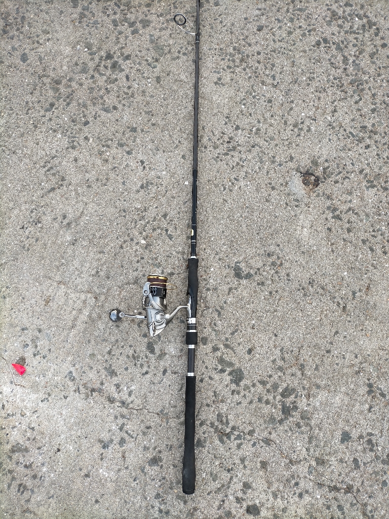 意外なゲストが!!