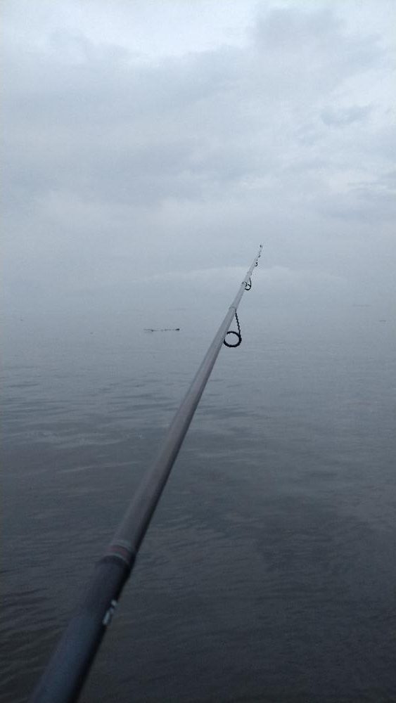 チョイ投げ〜激濁り編〜