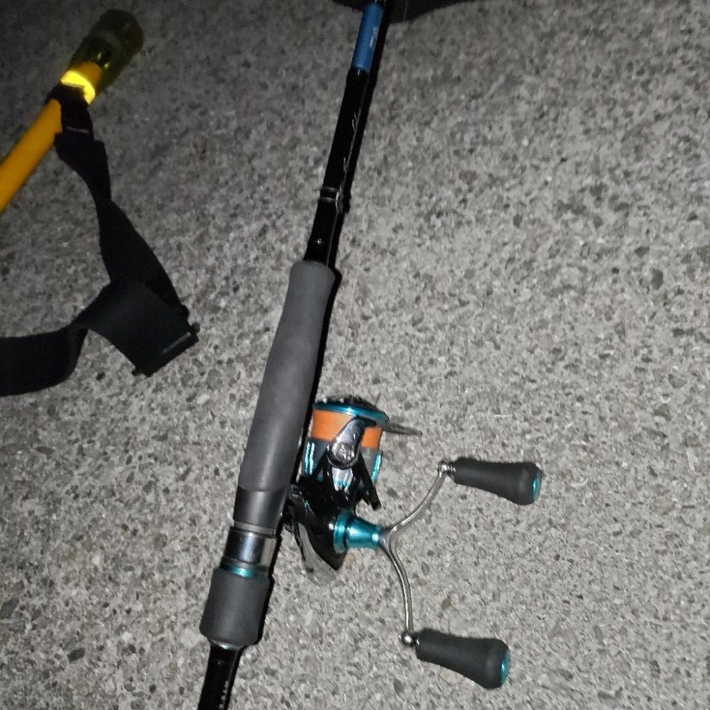 連日のエギング