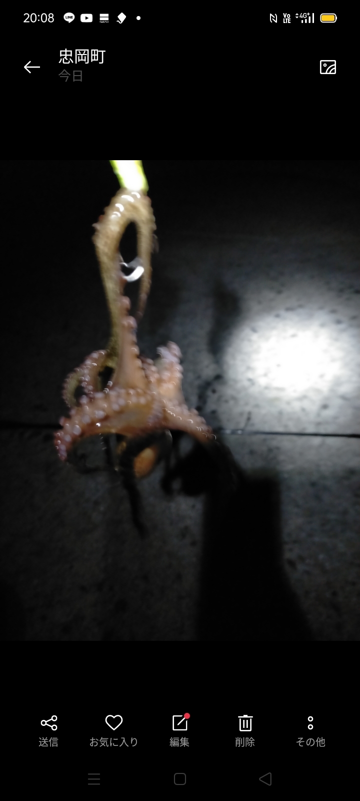 今年初挑戦！！