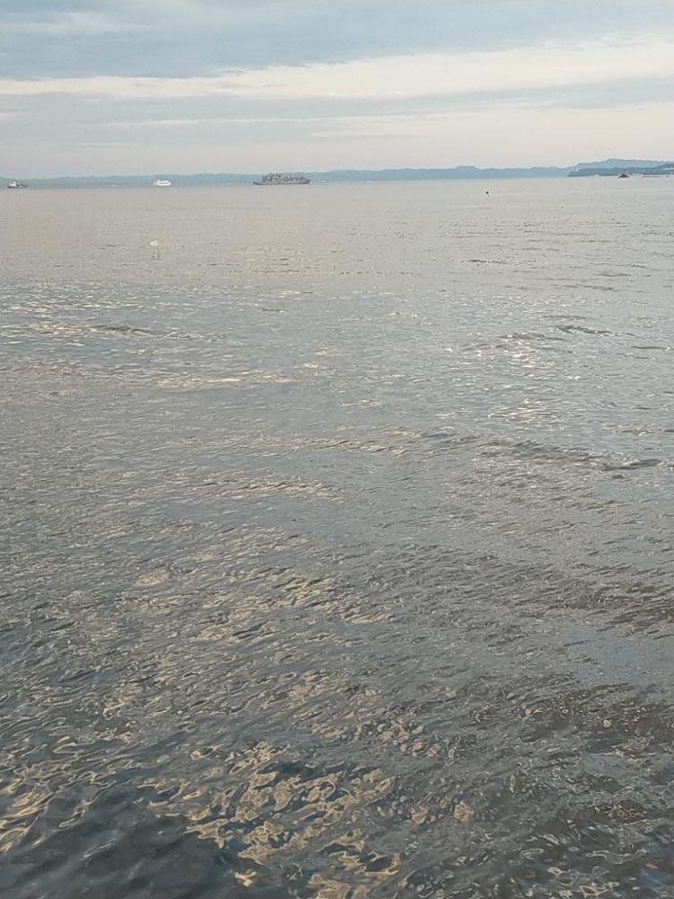 夕マズメの護岸