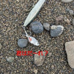 サーフでのんびりが豪雨に見舞われ…