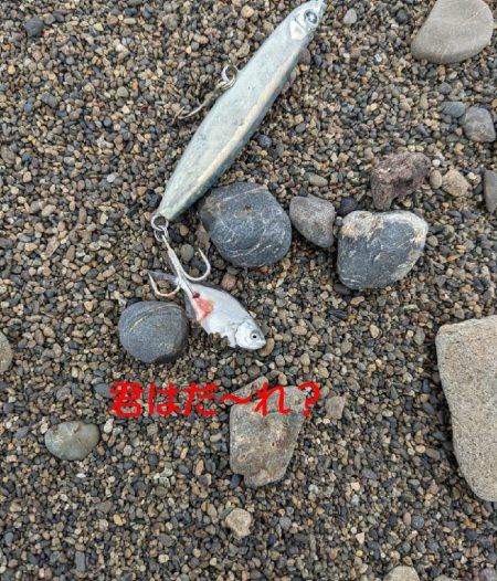 サーフでのんびりが豪雨に見舞われ…