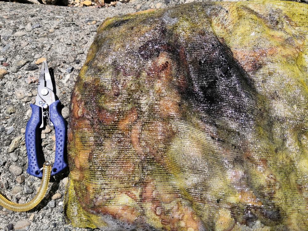 オクトパッシング 16