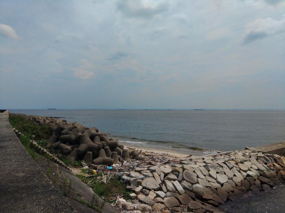 久しぶり数釣りできました