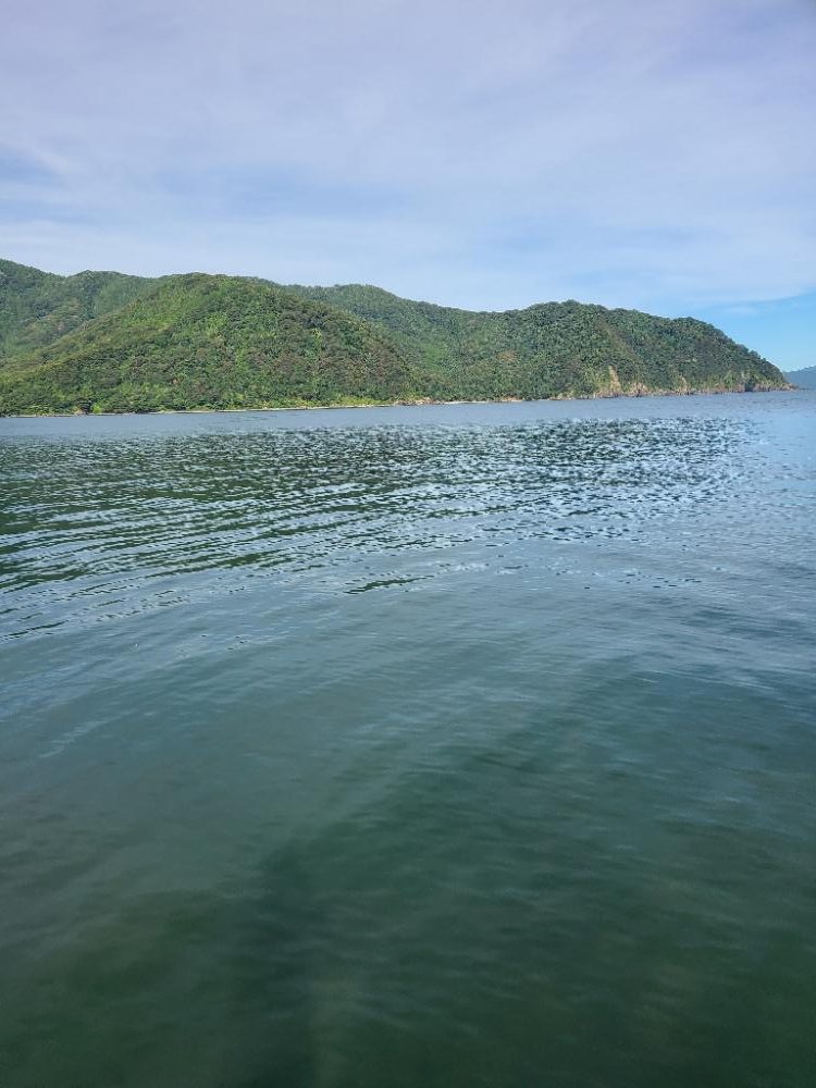 なかなか厳しい