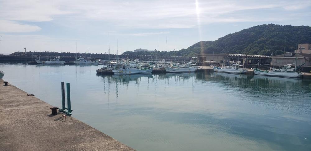 アジ探し@戸津井周辺