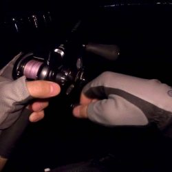 フリリグdeマゴチ