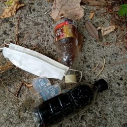 清掃活動：アジング