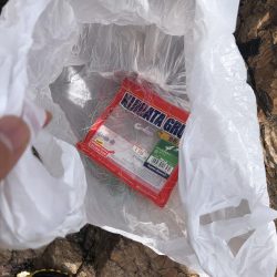 清掃活動：うーん