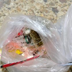 清掃活動：まごち♡