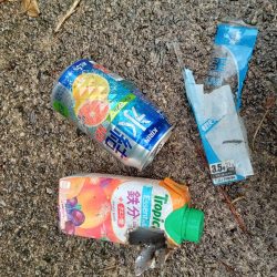 清掃活動：アジング