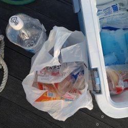 清掃活動：初ツ抜け！