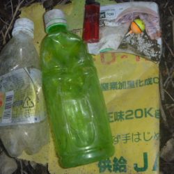 清掃活動：なまず→バス