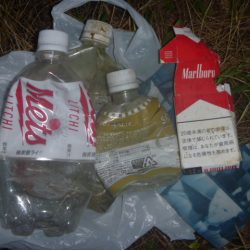 清掃活動：七月なまず