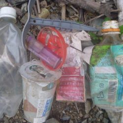 清掃活動：蒸し暑いです