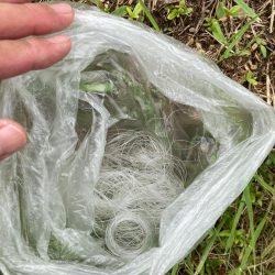 清掃活動：全開放流の琵琶湖