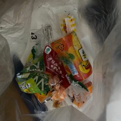 清掃活動：和歌山イカメタル