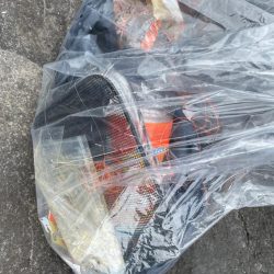 清掃活動：今年の地磯初