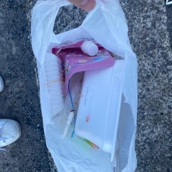 清掃活動：沢山の豆と雨