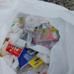 清掃活動：サビキ