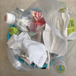 清掃活動：フナ2匹!!