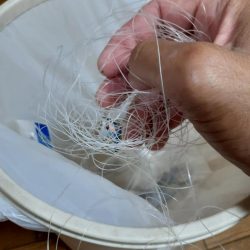 清掃活動：ちょい投げキス釣り