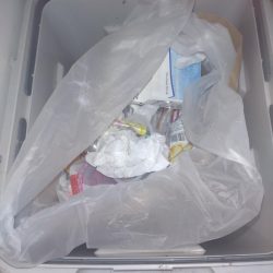 清掃活動：夏の五目釣り