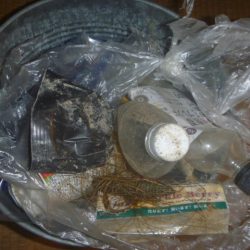 清掃活動：夕方バス