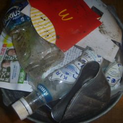 清掃活動：ニゴイング