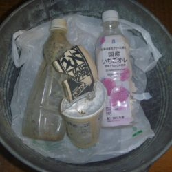 清掃活動：スピナベバス