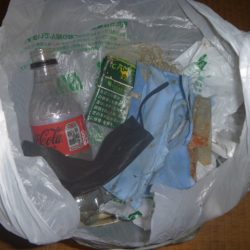 清掃活動：夕鯰