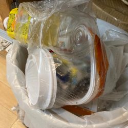 清掃活動：雷雨後の小チヌ！