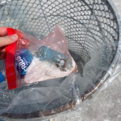 清掃活動：キス釣り