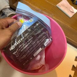 清掃活動：アジ、サッパ