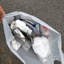 清掃活動：バス釣れた！！