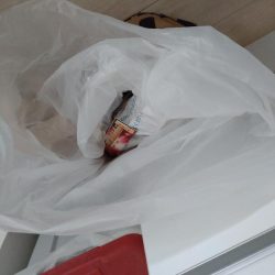 清掃活動：初のタコ！！