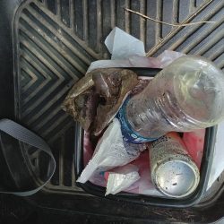 清掃活動：アジング