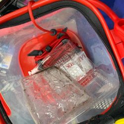 清掃活動:チヌにマゴチ!シーズンインのお知…